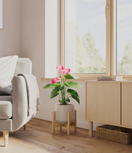 Load image into Gallery viewer, Eternal Gray stand:bamboo