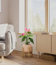 Load image into Gallery viewer, Gentle Pink stand:bamboo
