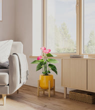 Load image into Gallery viewer, Mustard stand:bamboo