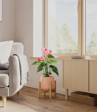 Load image into Gallery viewer, Calm Rose stand:bamboo