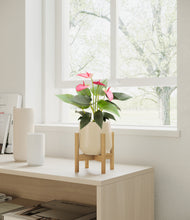 Load image into Gallery viewer, Almond Green stand:bamboo