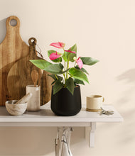 Load image into Gallery viewer, Black