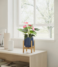 Load image into Gallery viewer, Deep Navy stand:bamboo