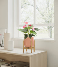 Load image into Gallery viewer, Calm Rose stand:bamboo