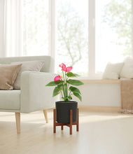 Load image into Gallery viewer, Black stand:walnut