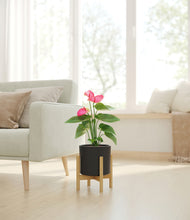 Load image into Gallery viewer, Black stand:bamboo