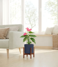 Load image into Gallery viewer, Deep Navy stand:walnut