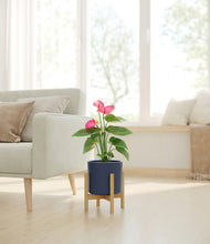 Load image into Gallery viewer, Deep Navy stand:bamboo