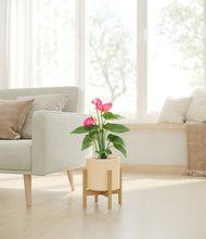 Load image into Gallery viewer, Cream stand:bamboo