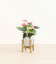 Load image into Gallery viewer, Hammered Ivory stand:bamboo