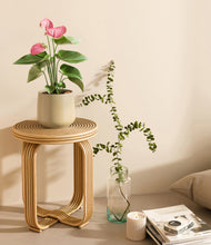 Load image into Gallery viewer, Almond Green