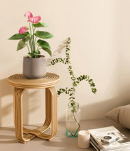 Load image into Gallery viewer, Eternal Gray