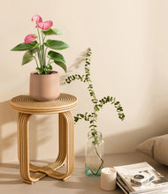 Load image into Gallery viewer, Gentle Pink