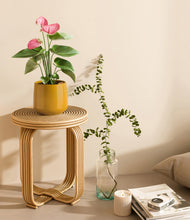 Load image into Gallery viewer, Mustard