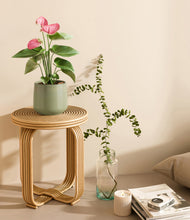 Load image into Gallery viewer, Turquoise