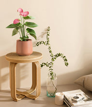 Load image into Gallery viewer, Calm Rose