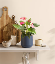 Load image into Gallery viewer, Deep Navy