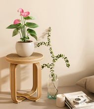 Load image into Gallery viewer, Shiny EggWhite