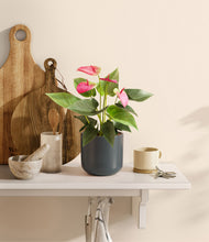 Load image into Gallery viewer, Iron Gray