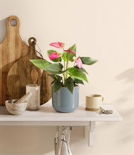 Load image into Gallery viewer, Misty Blue