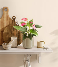 Load image into Gallery viewer, Sage Green