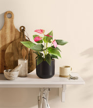 Load image into Gallery viewer, Stone Black