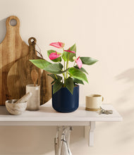 Load image into Gallery viewer, Twilight Blue