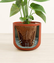 Load image into Gallery viewer, Earth Red