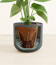 Load image into Gallery viewer, Iron Gray