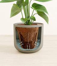 Load image into Gallery viewer, Sage Green