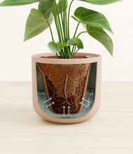 Load image into Gallery viewer, Sandy Pink