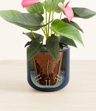 Load image into Gallery viewer, Twilight Blue stand:all