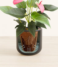 Load image into Gallery viewer, Stone Black stand:all