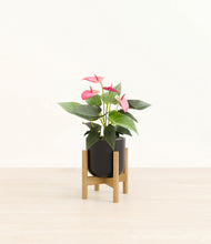 Load image into Gallery viewer, Stone Black stand:bamboo