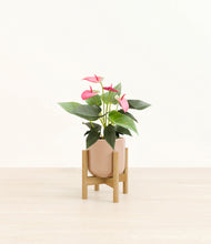 Load image into Gallery viewer, Glossy Pink stand:bamboo