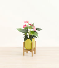 Load image into Gallery viewer, Key Lime Yellow stand:bamboo