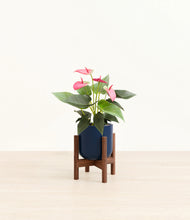 Load image into Gallery viewer, Twilight Blue stand:walnut