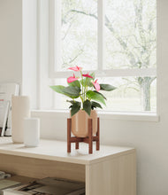 Load image into Gallery viewer, Glossy Pink stand:walnut