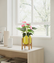Load image into Gallery viewer, Key Lime Yellow stand:bamboo