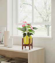 Load image into Gallery viewer, Key Lime Yellow stand:walnut