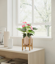 Load image into Gallery viewer, Sandy Pink stand:bamboo