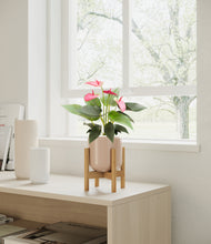 Load image into Gallery viewer, Sandy Pink stand:bamboo