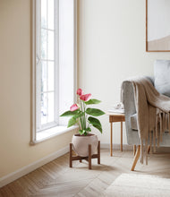 Load image into Gallery viewer, Desert Brown stand:walnut