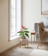 Load image into Gallery viewer, Desert Brown stand:bamboo