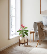 Load image into Gallery viewer, Shiny EggWhite stand:walnut