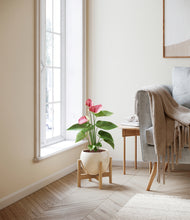 Load image into Gallery viewer, Shiny EggWhite stand:bamboo