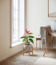 Load image into Gallery viewer, Winter Clouds stand:bamboo