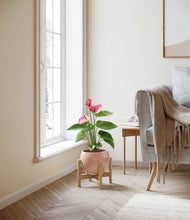 Load image into Gallery viewer, Calm Rose stand:bamboo