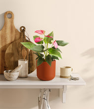 Load image into Gallery viewer, Earth Red