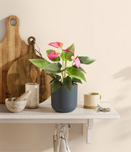 Load image into Gallery viewer, Iron Gray